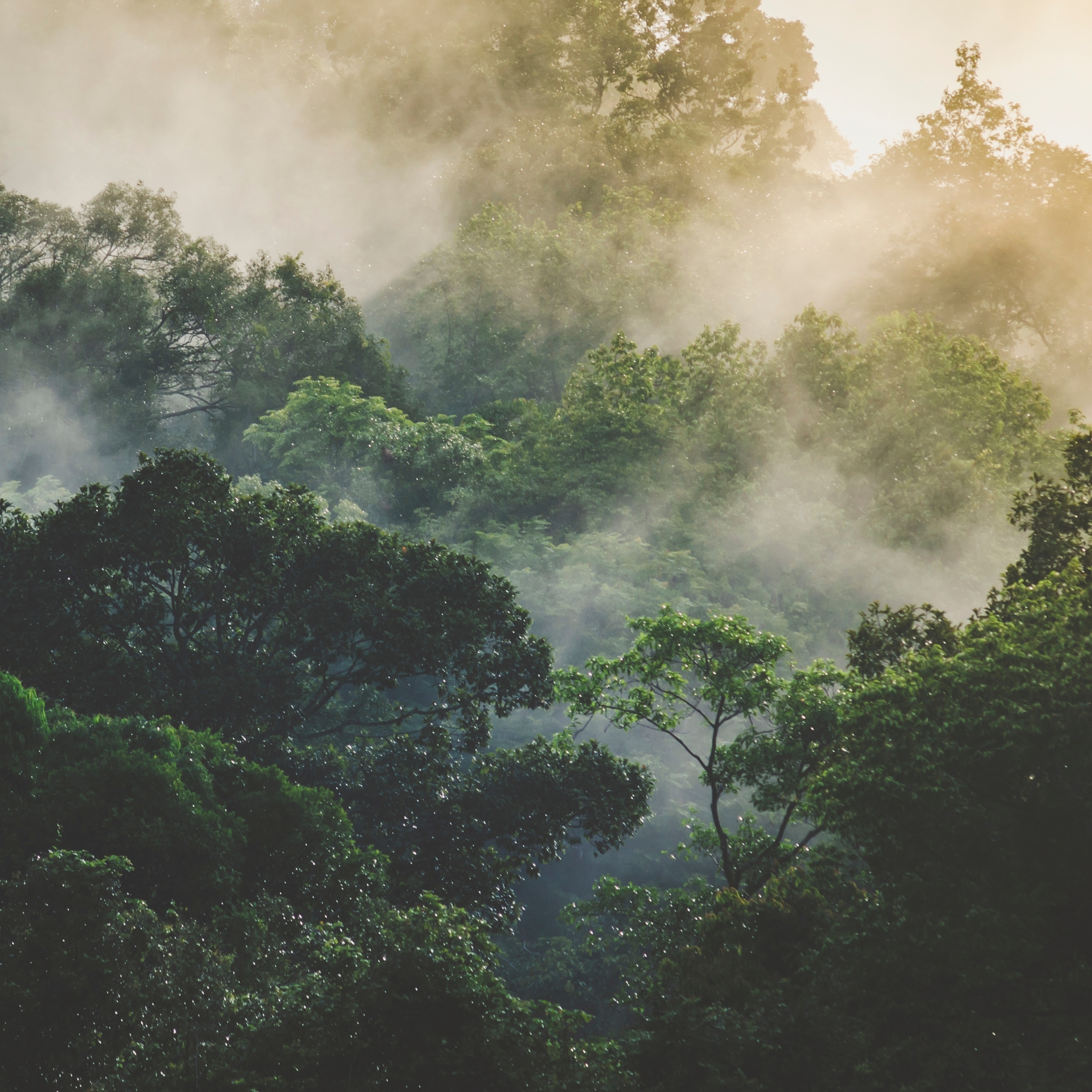 Abstract Lights album cover