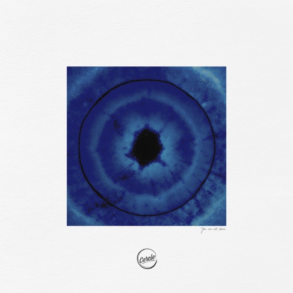 You Are Not Alone - Single album cover