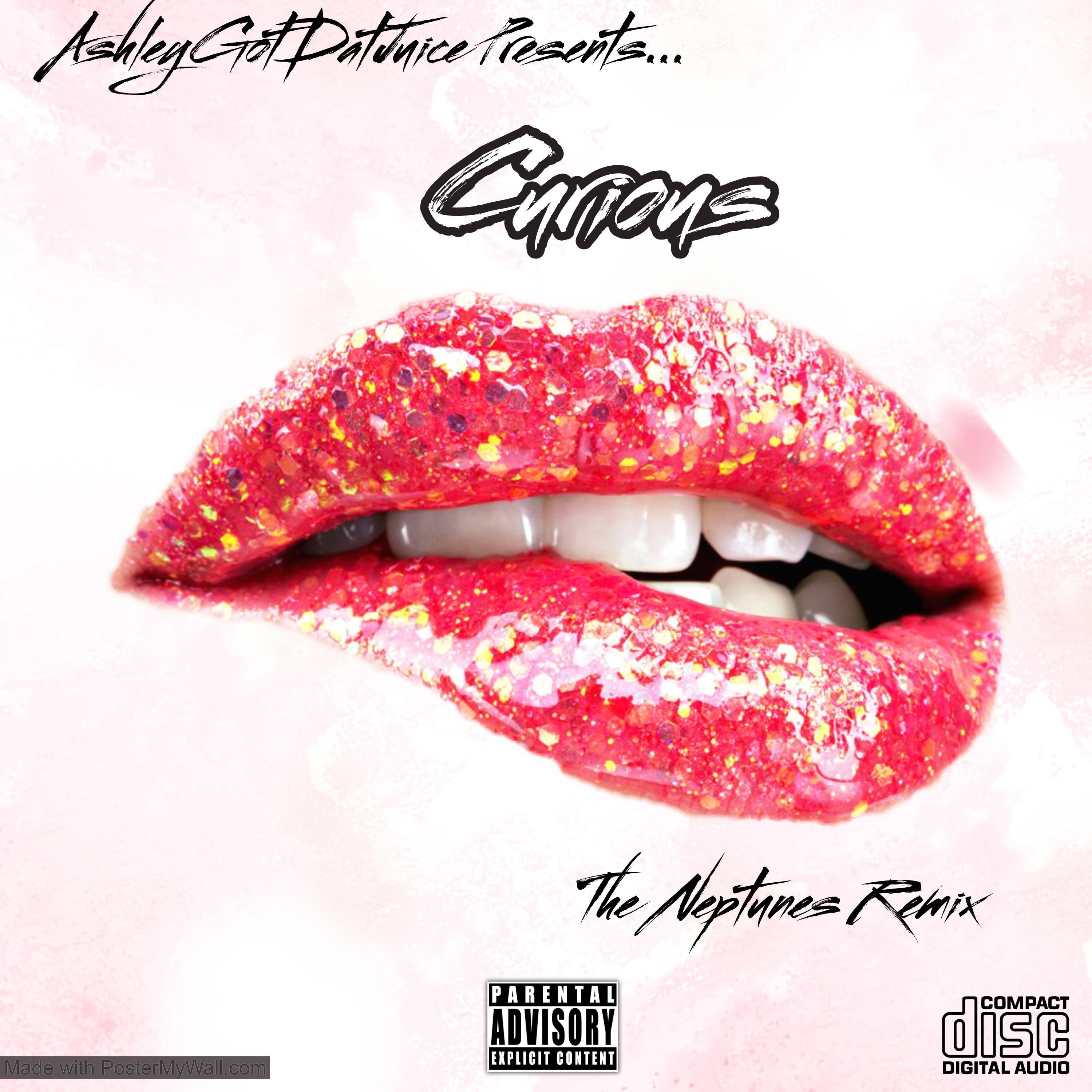 Curious (feat. Raekwon & The Neptunes) - Single album cover