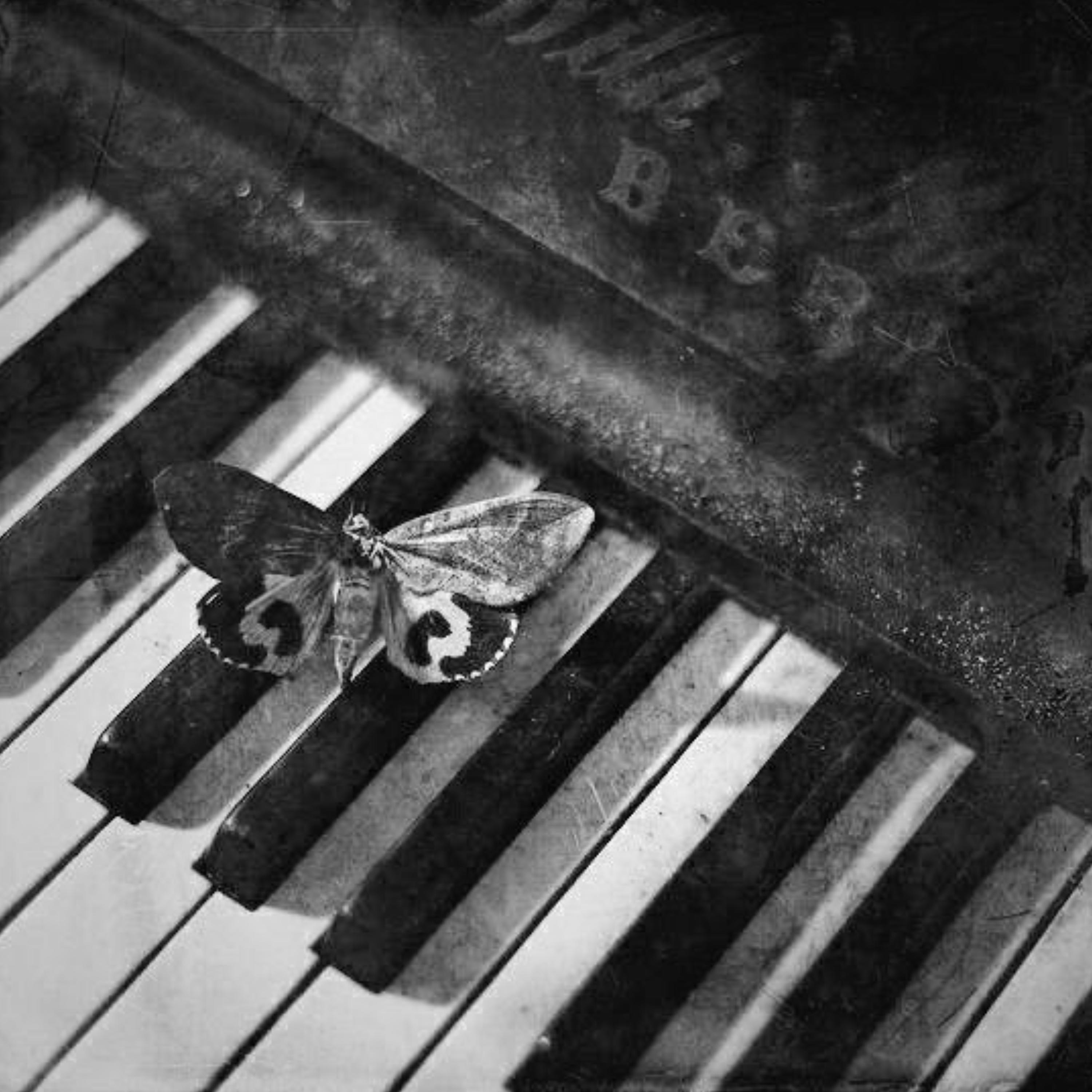 Silent Hill Piano Versions album cover