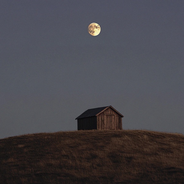 a letter from home - Single album cover
