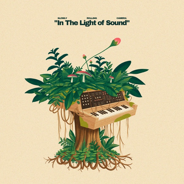 In The Light of Sound - Single album cover