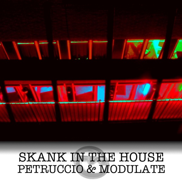 Skank in the House - Single album cover