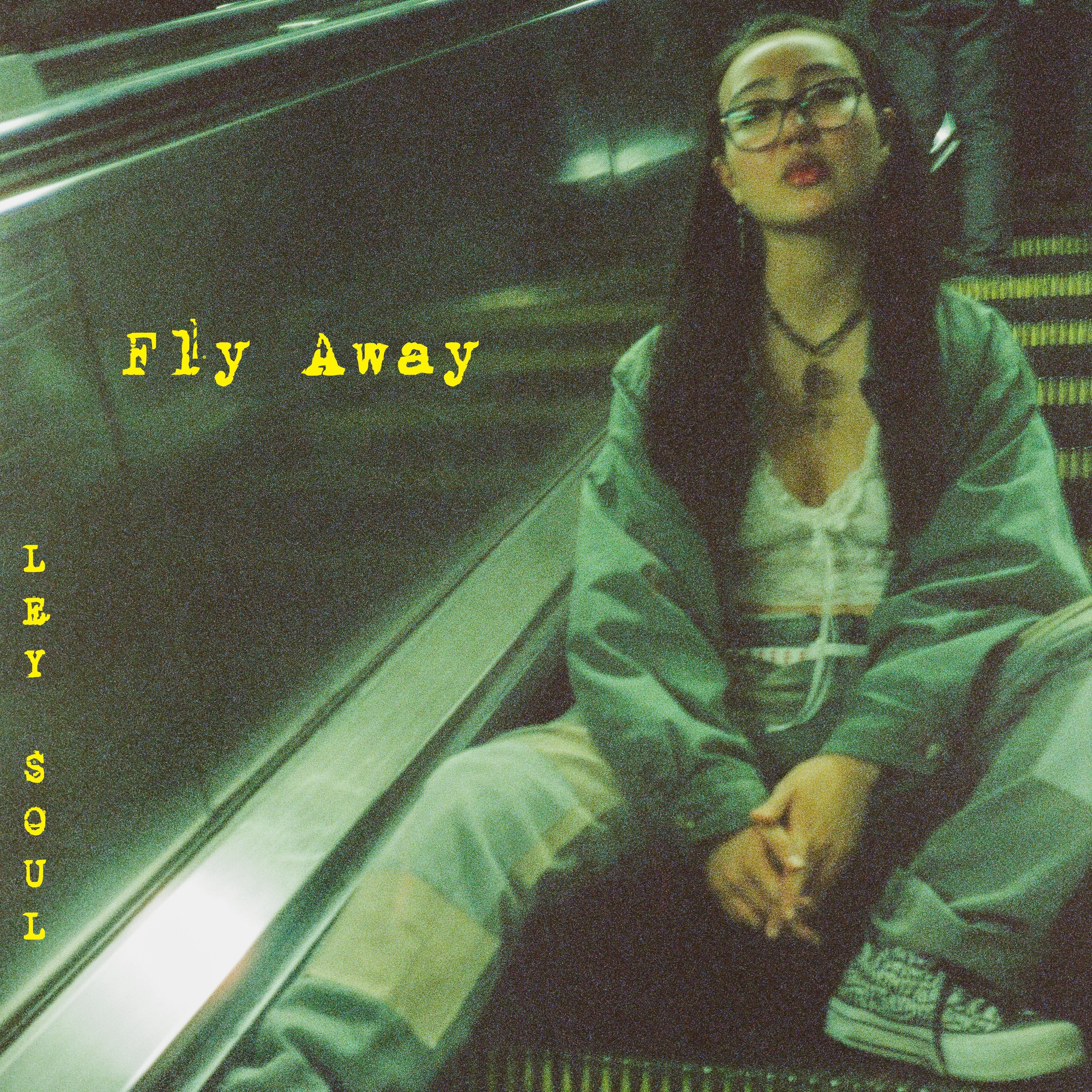Fly Away - Single album cover