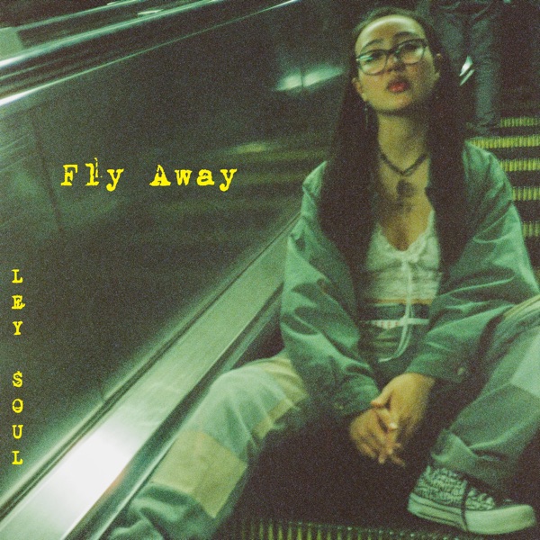 Fly Away - Single album cover