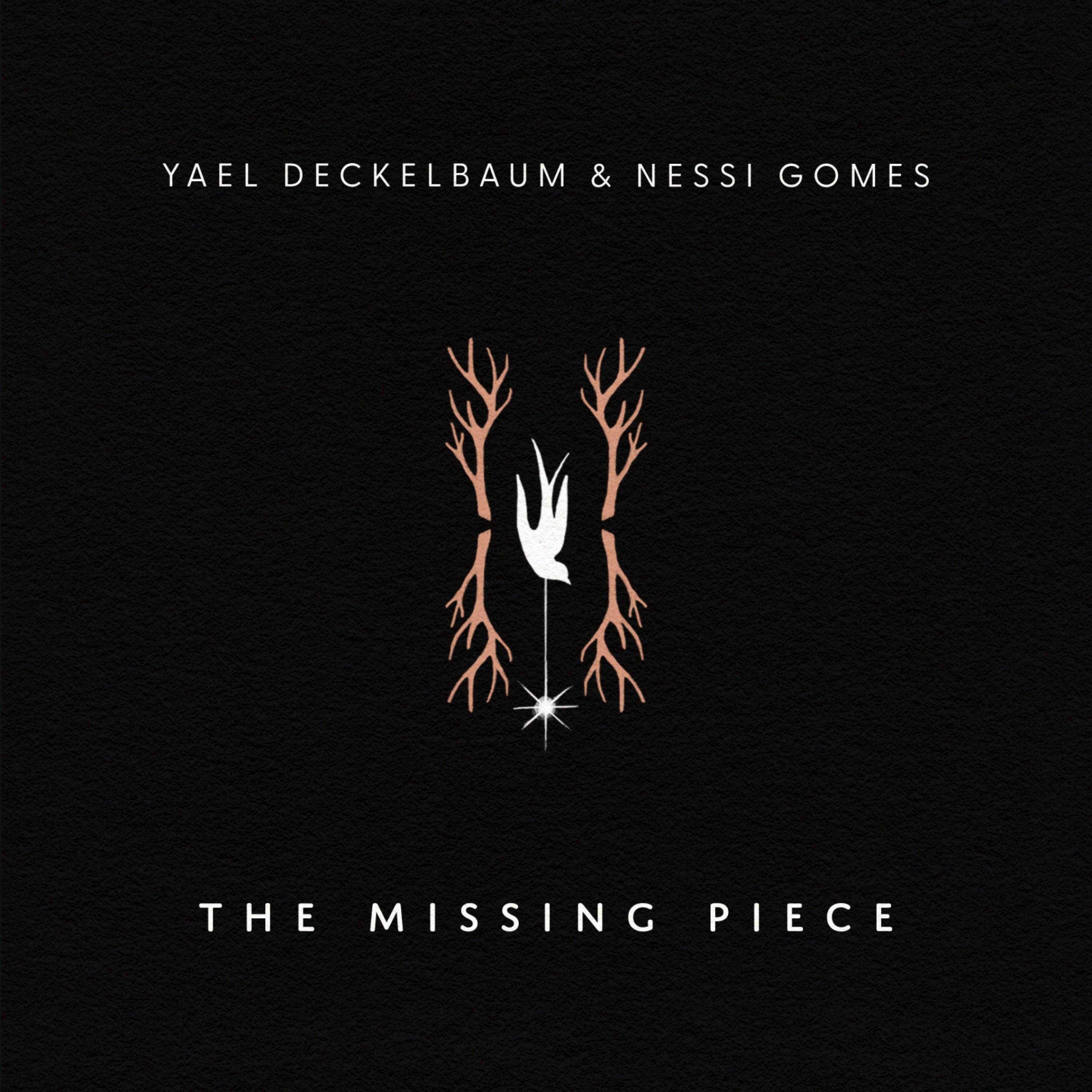 The Missing Piece - Single album cover