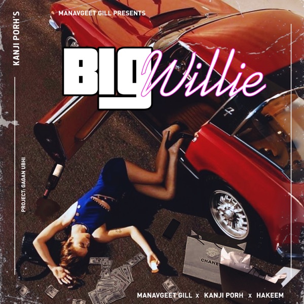 Big Willie - Single album cover