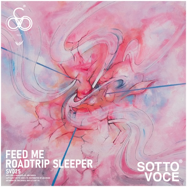 Roadtrip Sleeper - Single album cover