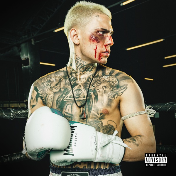 Malvada (feat. Dj Murillo e LT no Beat, MC Ryan SP & Mc IG) - Single album cover