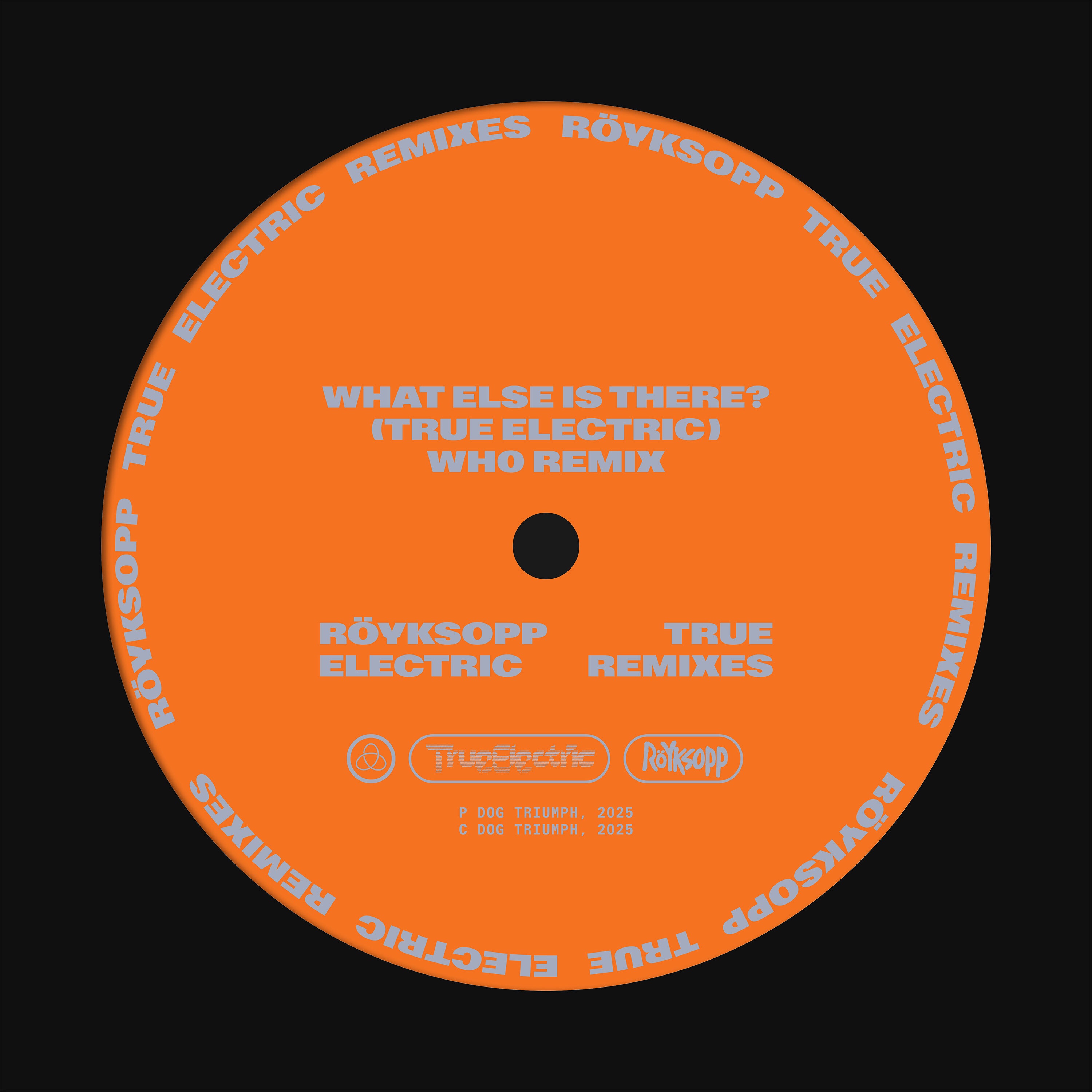 What Else Is There? (Wh0 Remix) [feat. Fever Ray] - Single album cover
