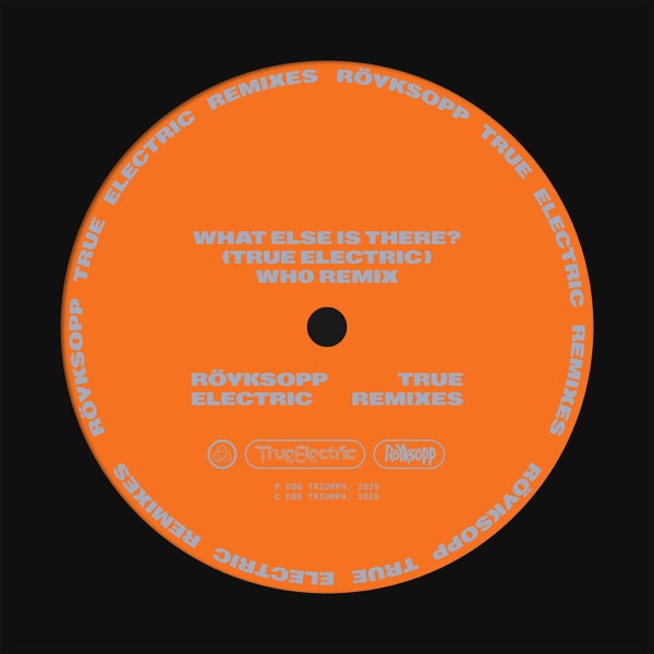 What Else Is There? (Wh0 Remix) [feat. Fever Ray] - Single album cover