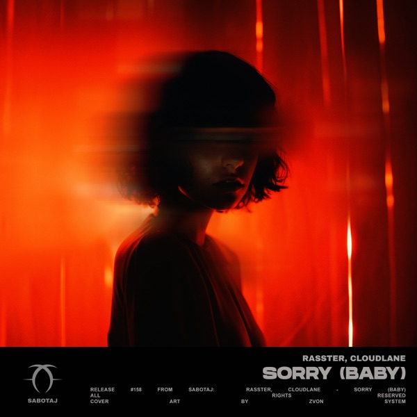Sorry (Baby) - Single album cover