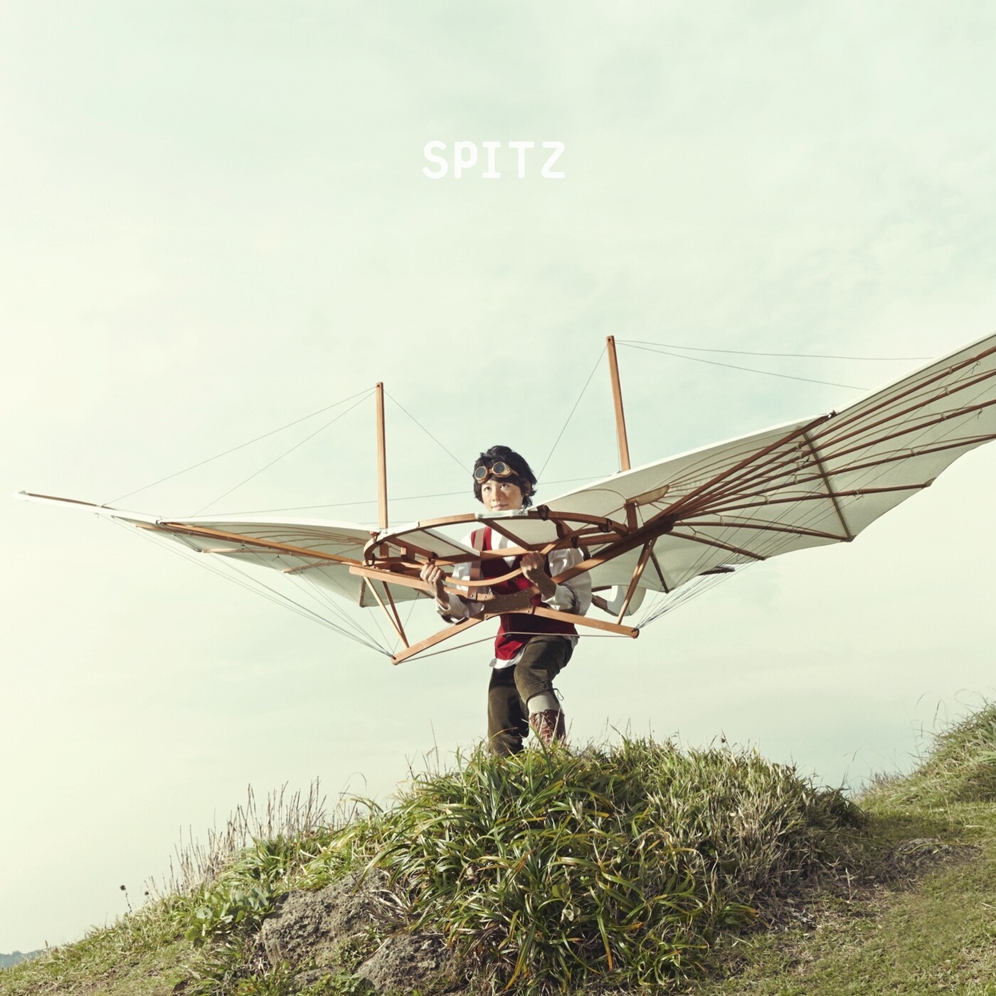 Chiisanaikimono album cover