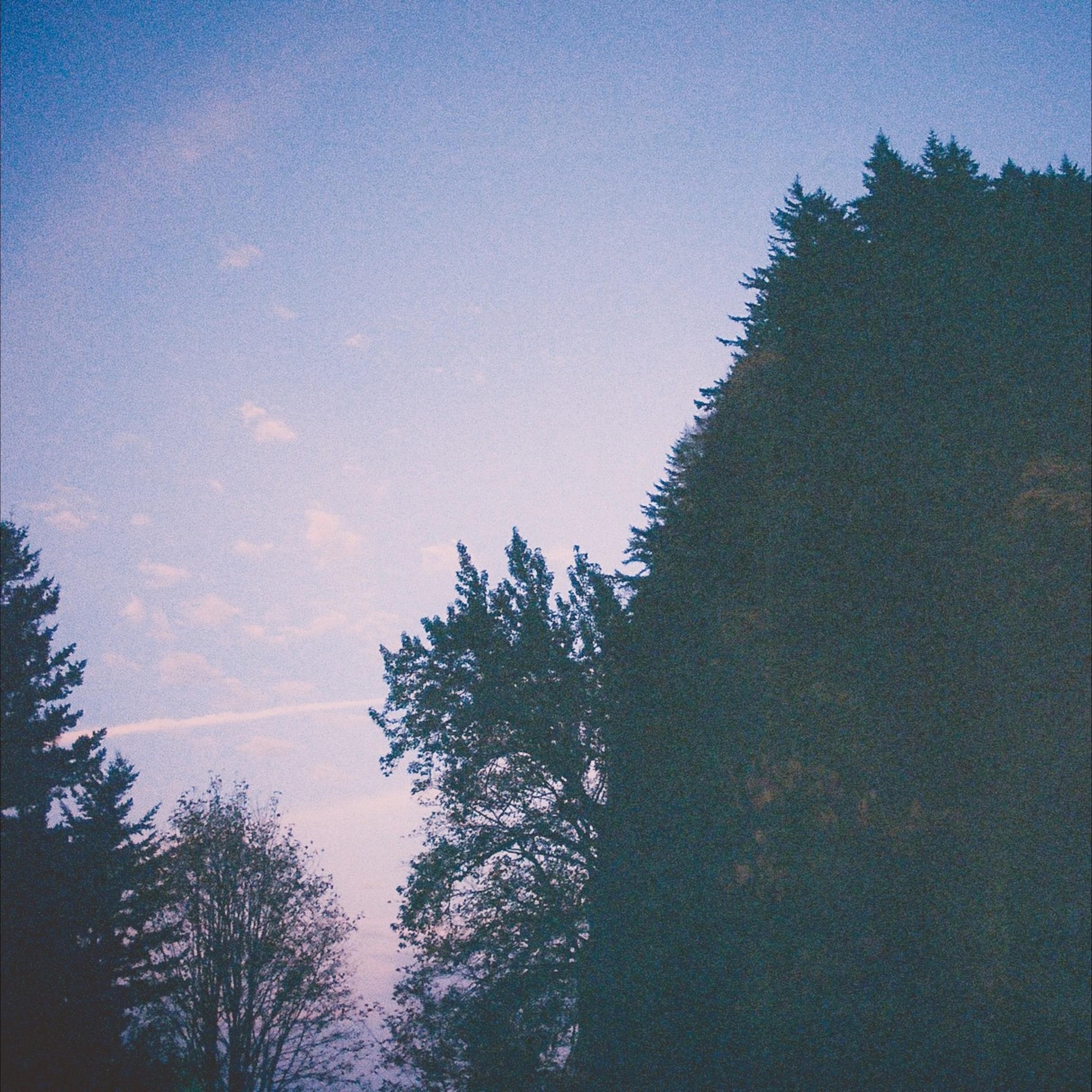 Last Forever - Single album cover