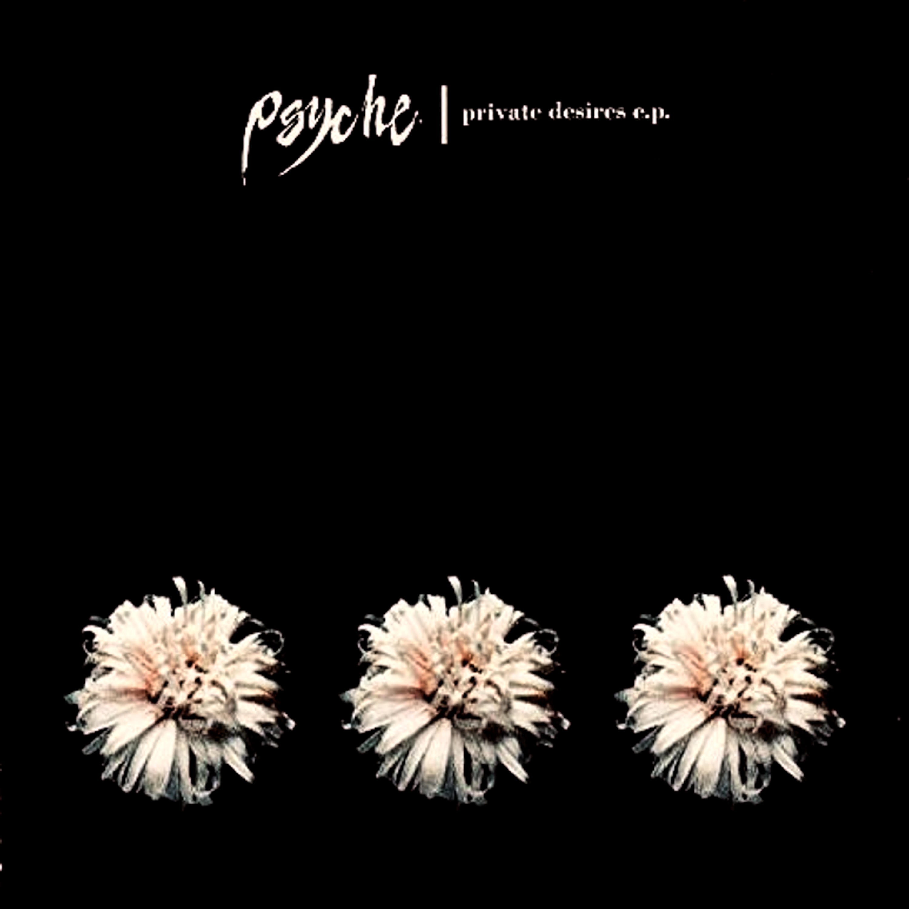 private desires e.p. album cover