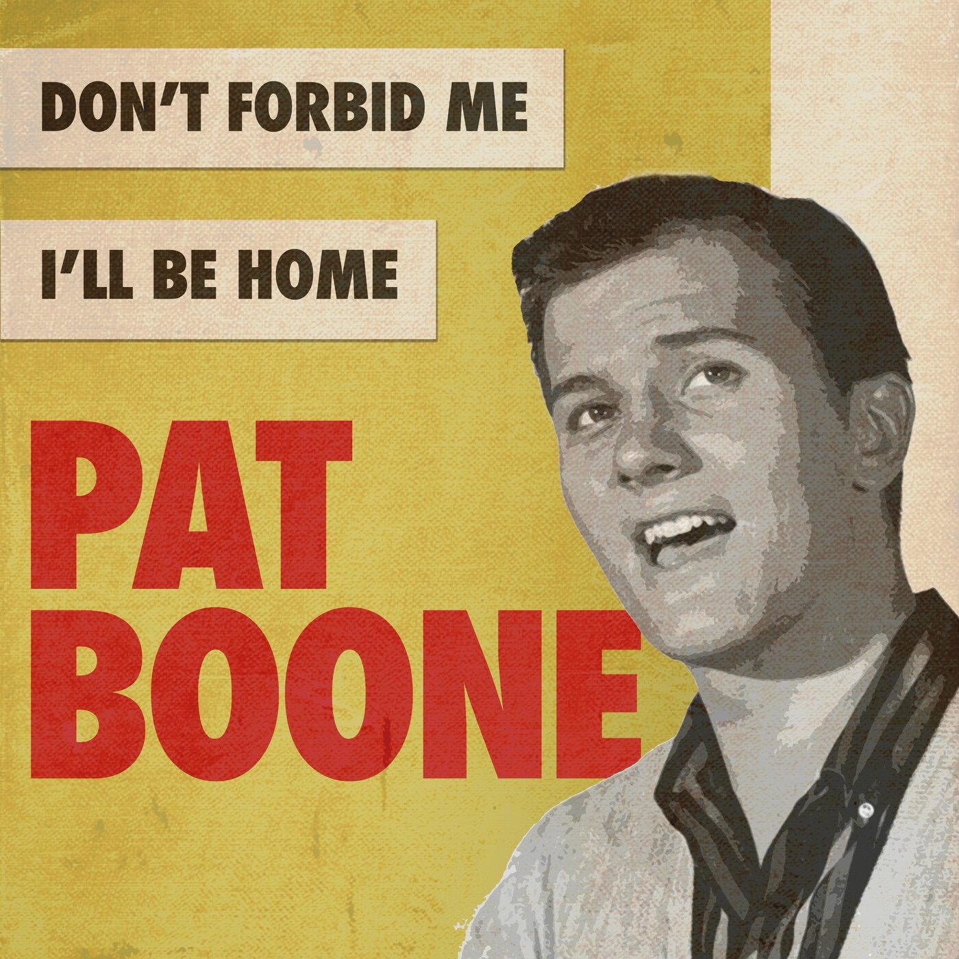 Don't Forbid Me / I'll Be Home (Rerecorded Version) - Single album cover