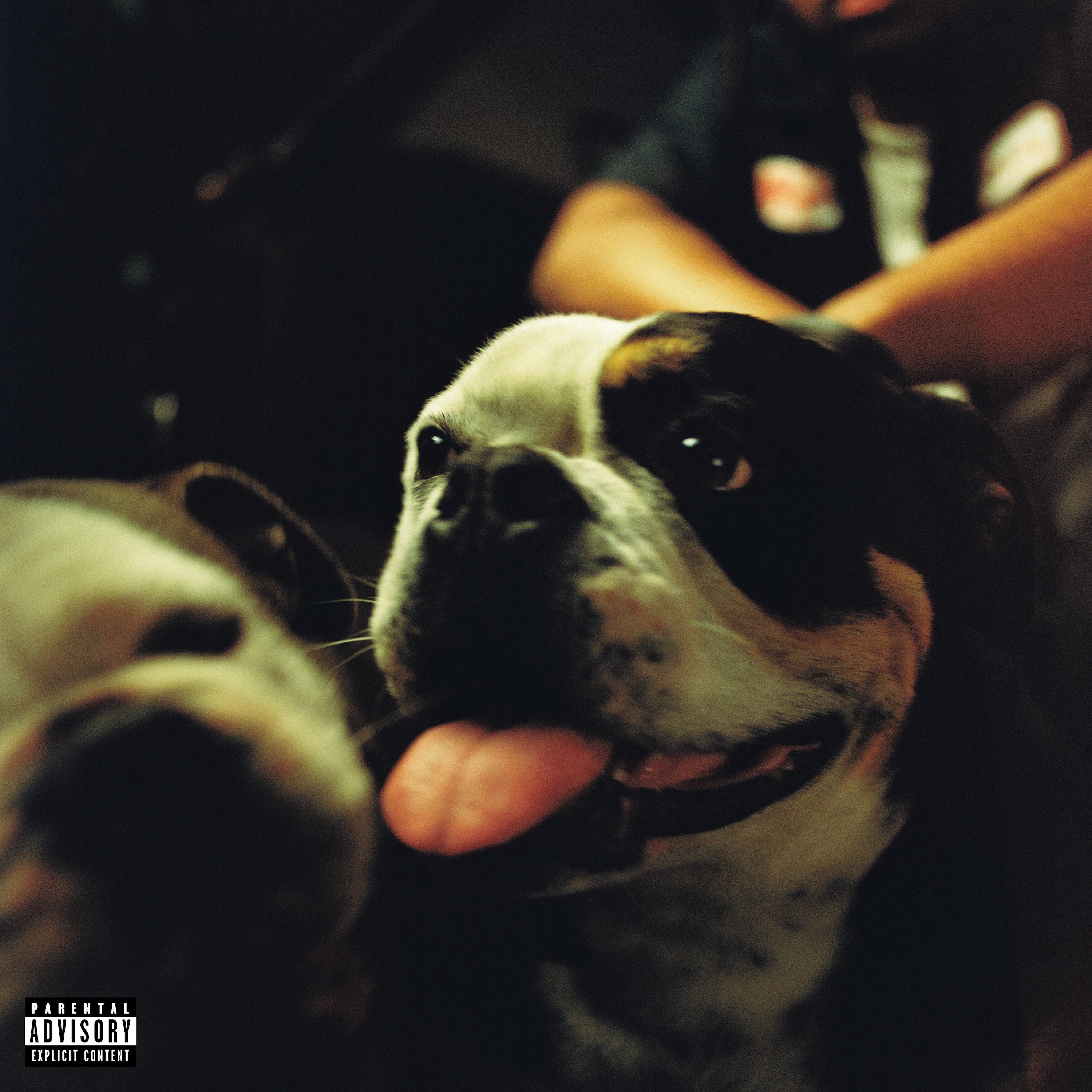 BULLDAWG album cover