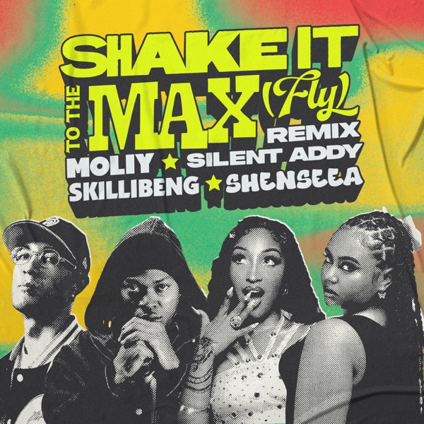 Shake It To The Max (FLY) [Remix] - Single album cover