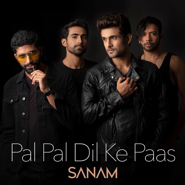 Pal Pal Dil Ke Paas - Single album cover