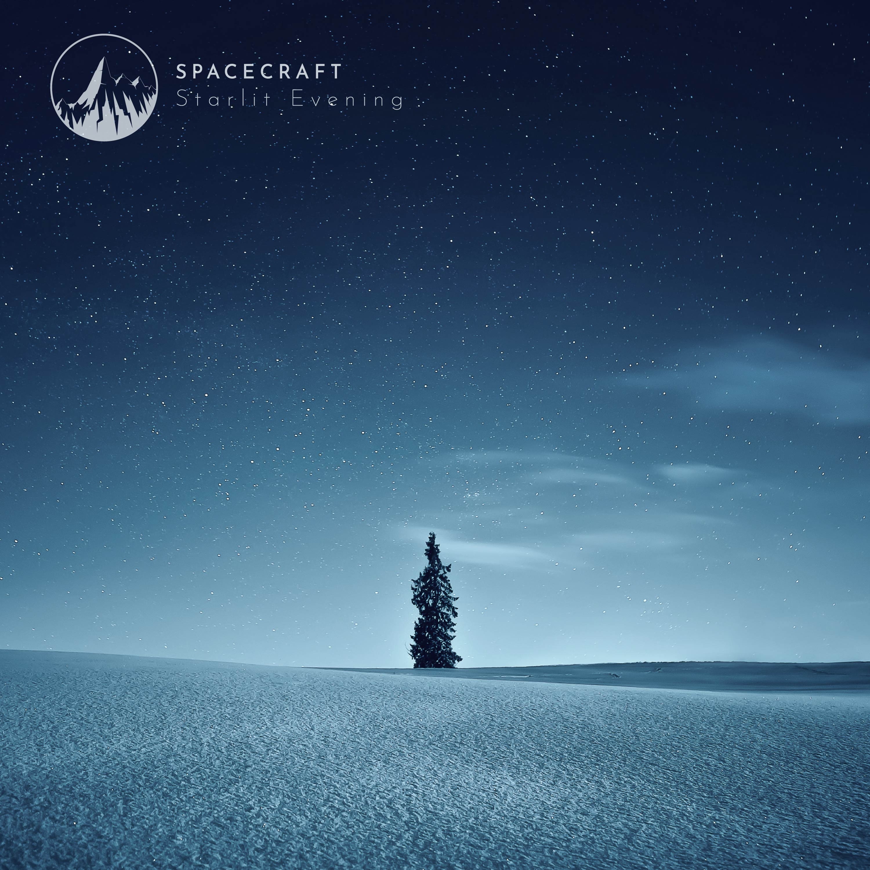 Starlit Evening - Single album cover