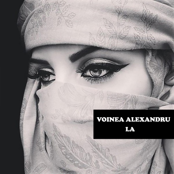 La (Voinea Alexandru Remix) - Single album cover