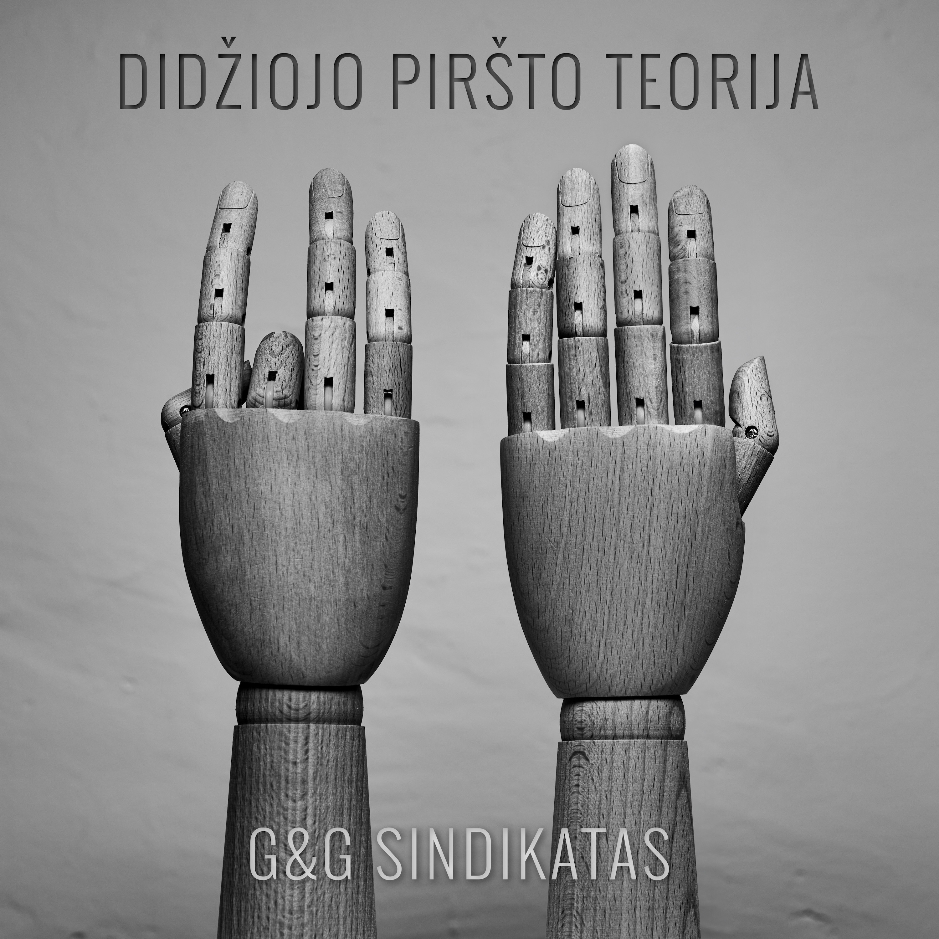 Didžiojo Piršto Teorija - Single album cover