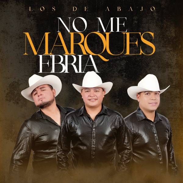 No Me Márques Ebria - Single album cover