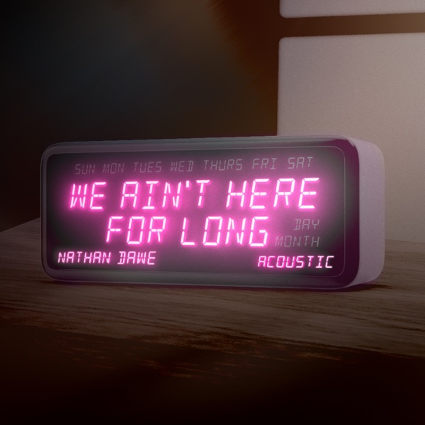 We Ain't Here For Long (Acoustic) - Single album cover