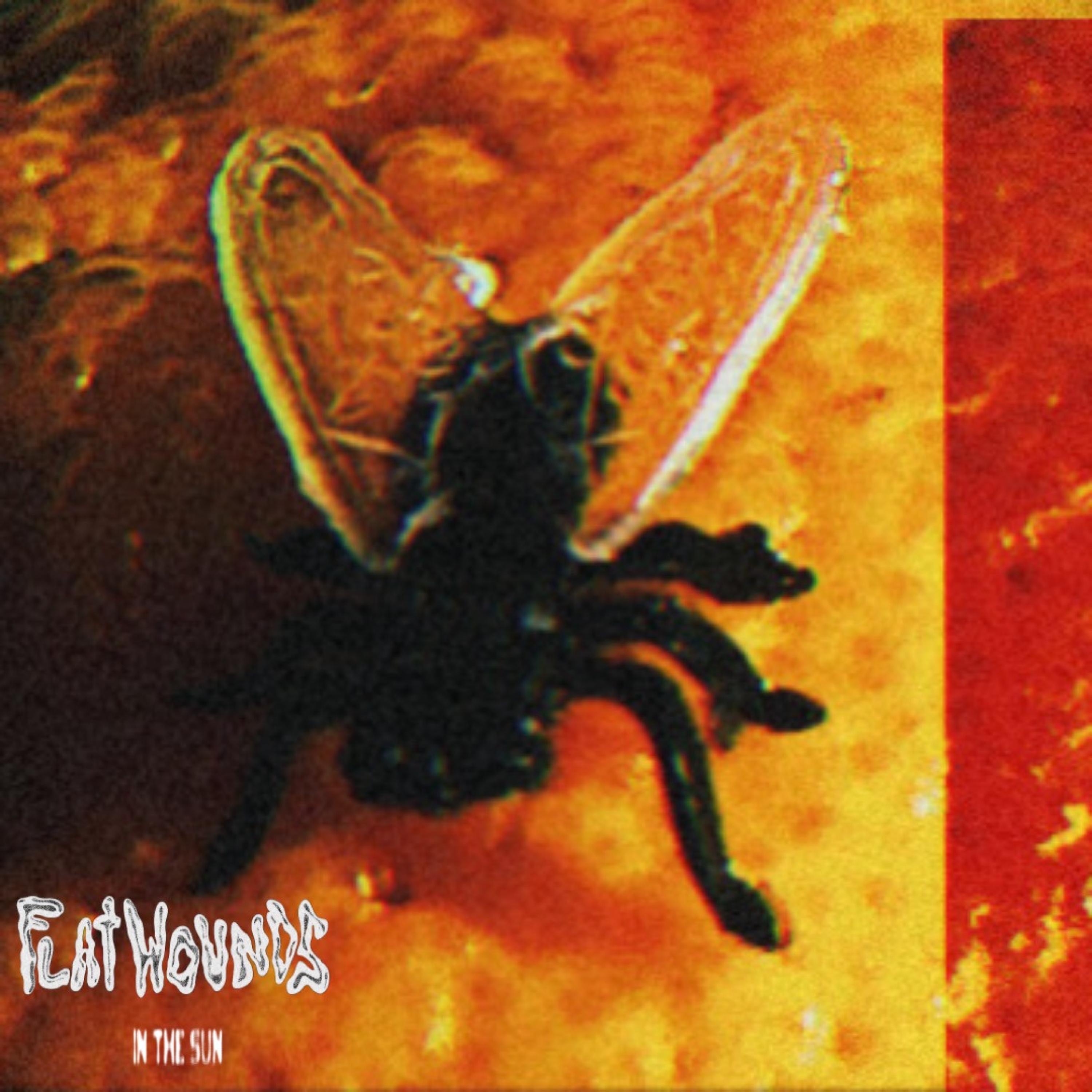 In The Sun - Single album cover