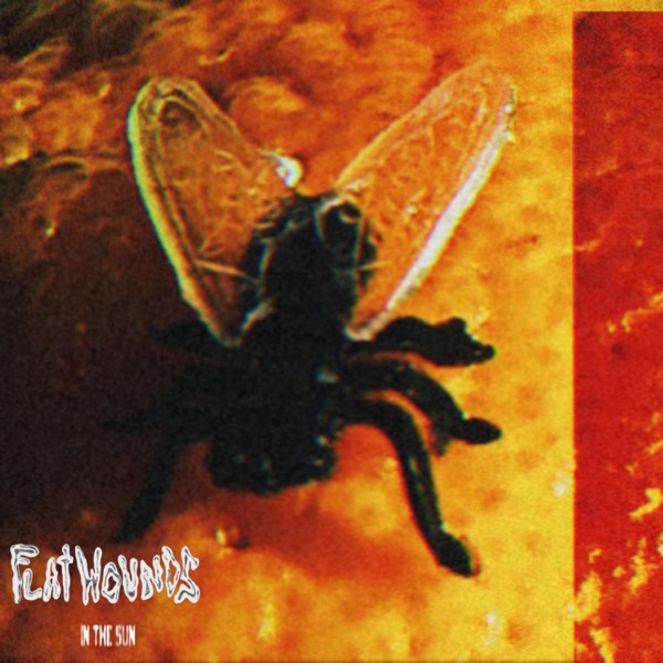 In The Sun - Single album cover