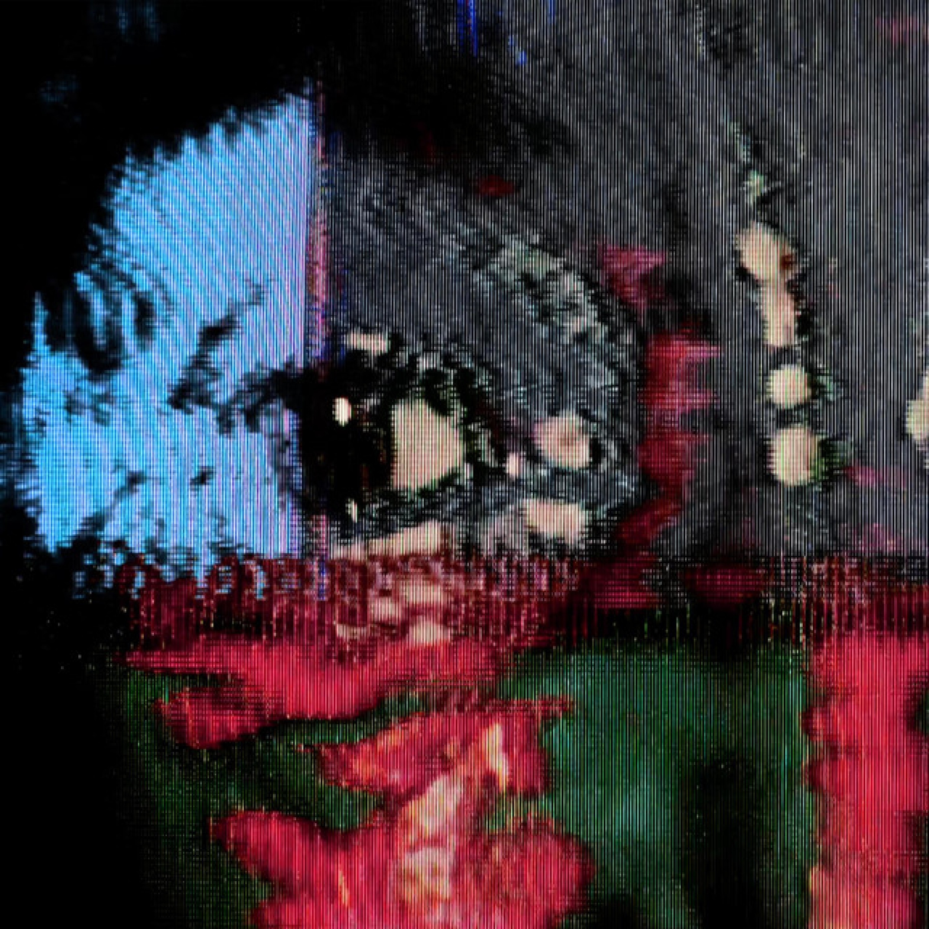 Homeostasis - Single album cover