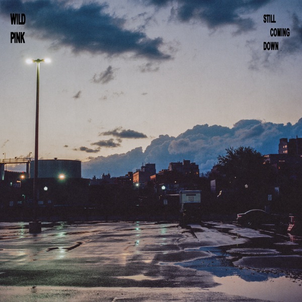 Still Coming Down album cover