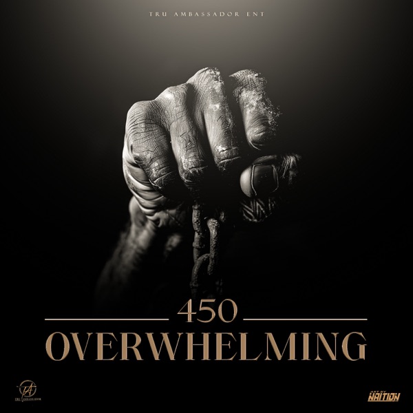 Overwhelming - Single album cover