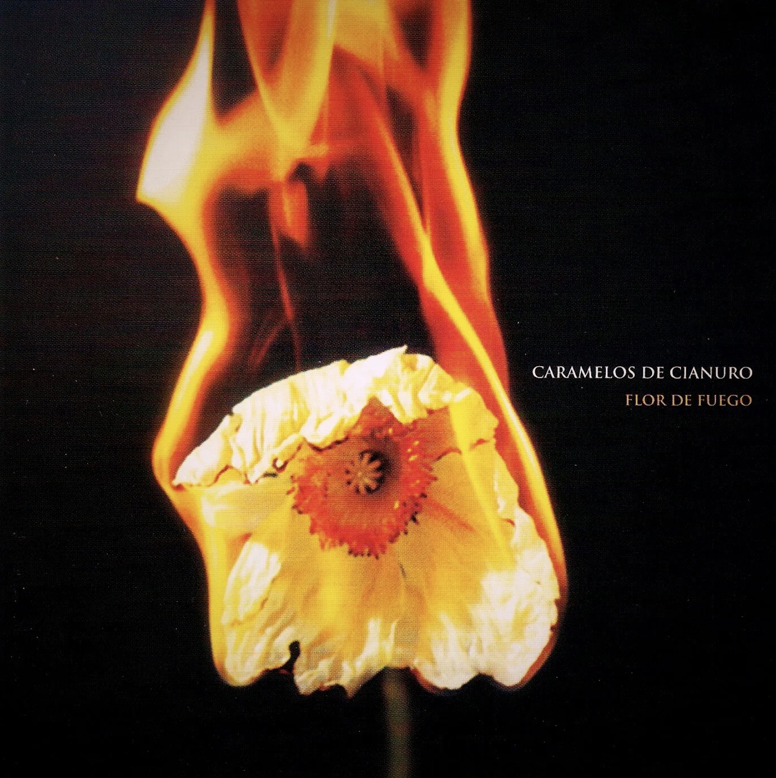 Flor de Fuego album cover