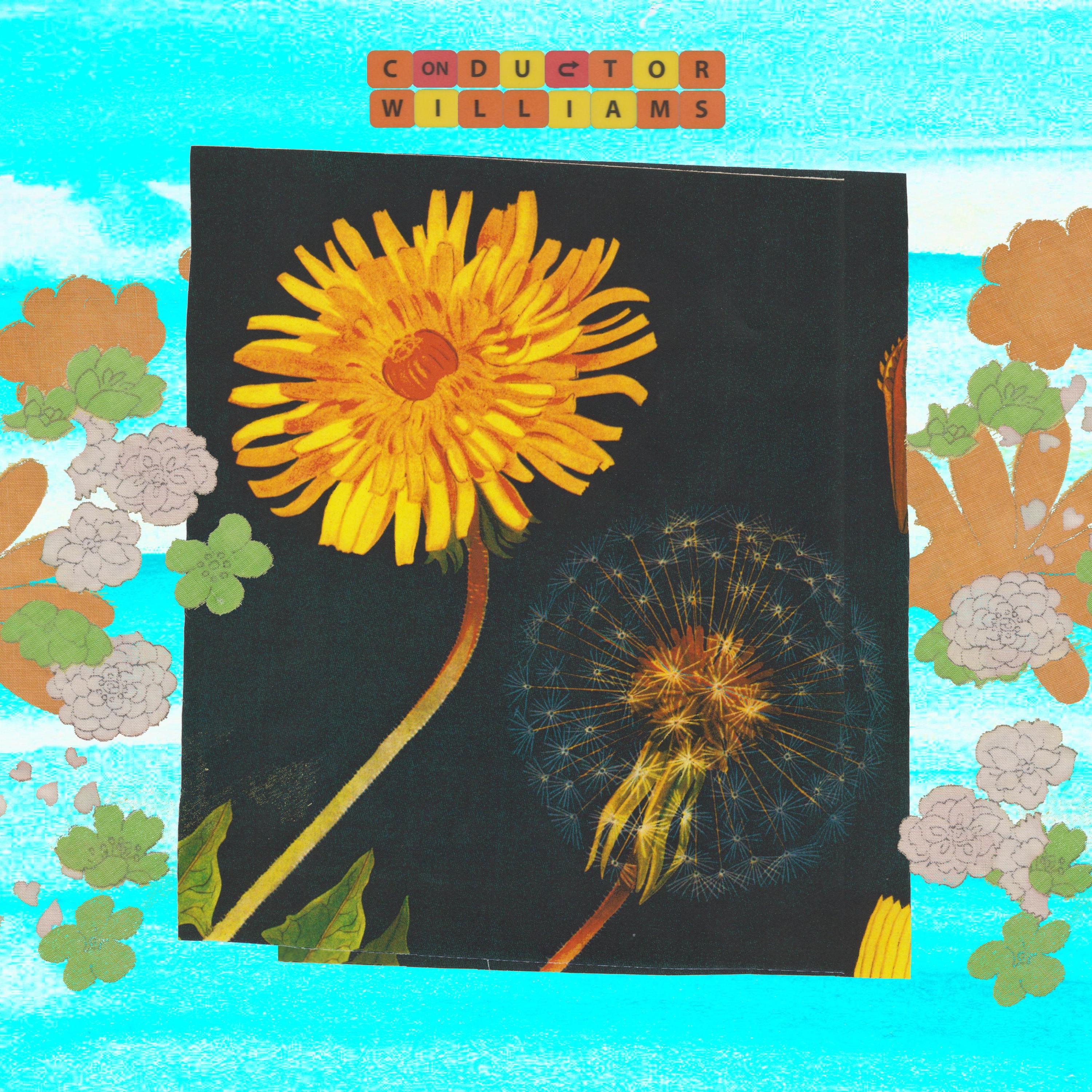 Listen To Your Body. Talk To Plants. Ignore People. (Remastered) album cover