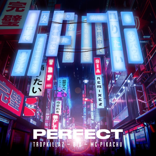 Perfect (feat. BIA & Mc Pikachu) - Single album cover