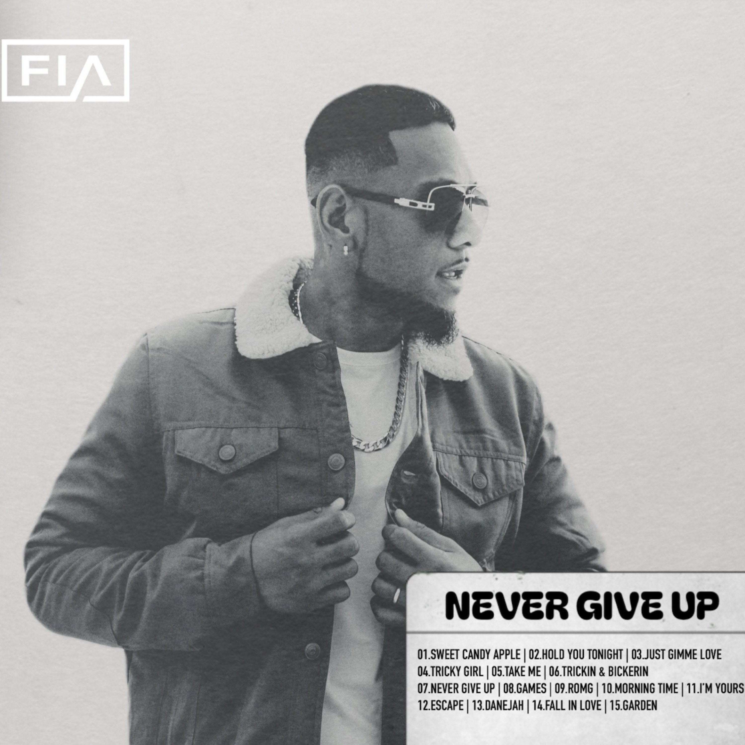 Never Give Up album cover