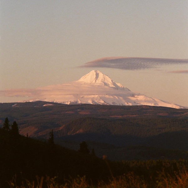 Until Morning Comes - Single album cover
