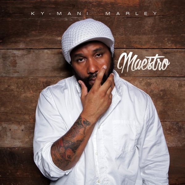 Maestro album cover