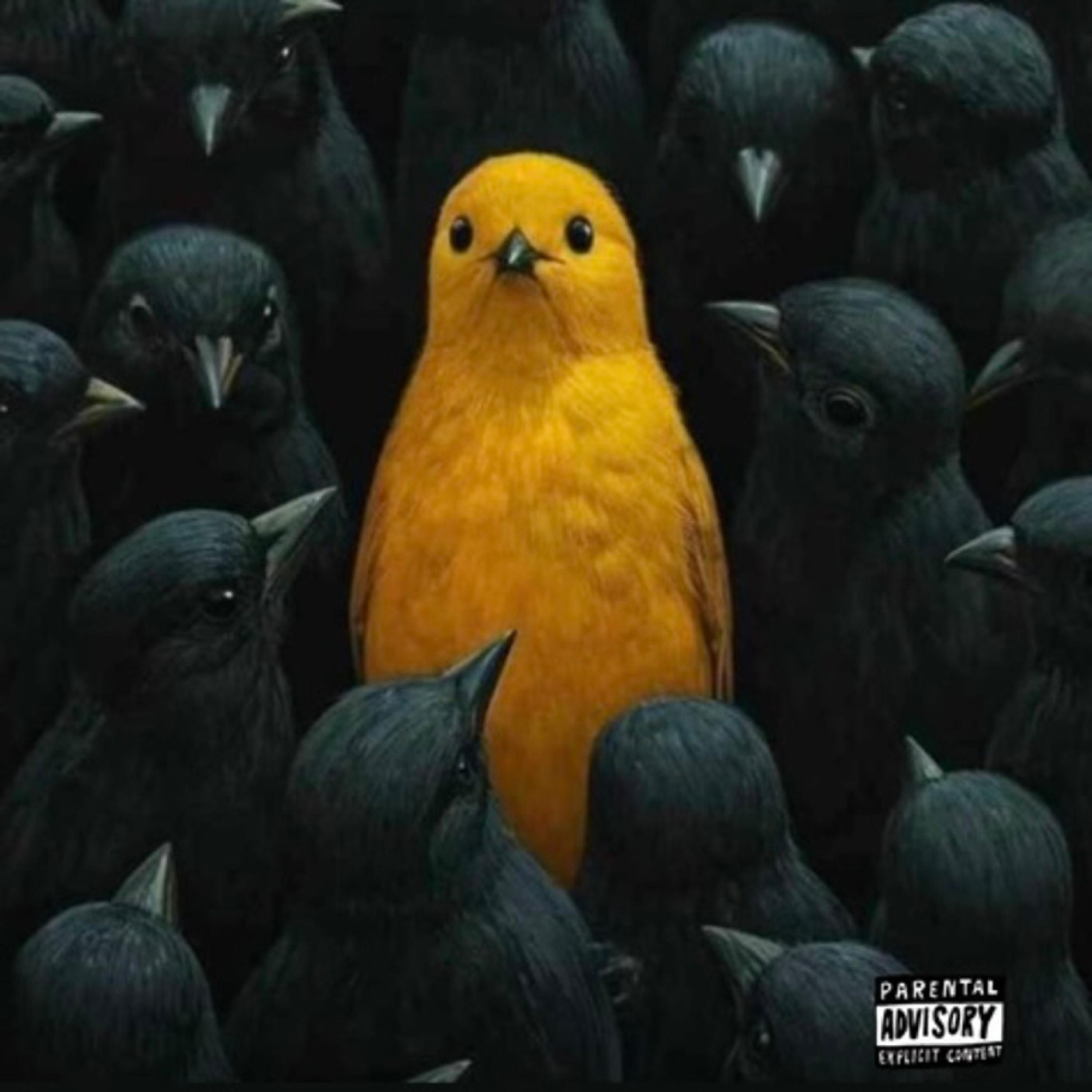 FREE (feat. Andy julc, Suc sexx & Westside boogie) - Single album cover