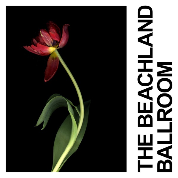 The Beachland Ballroom - Single album cover