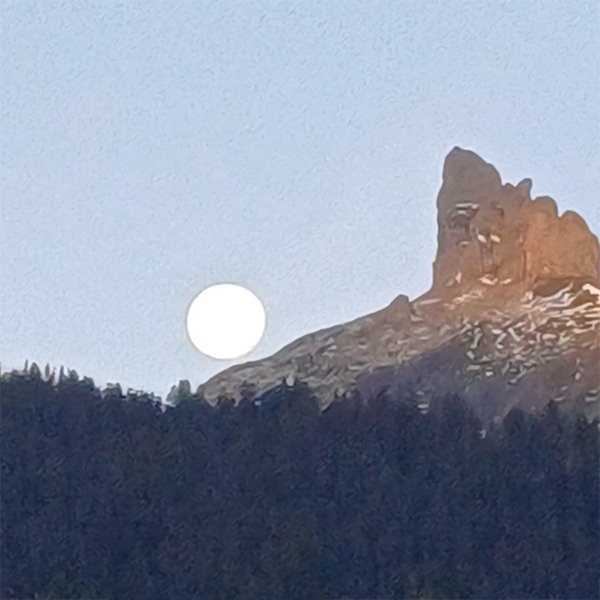 no.1 else - Single album cover