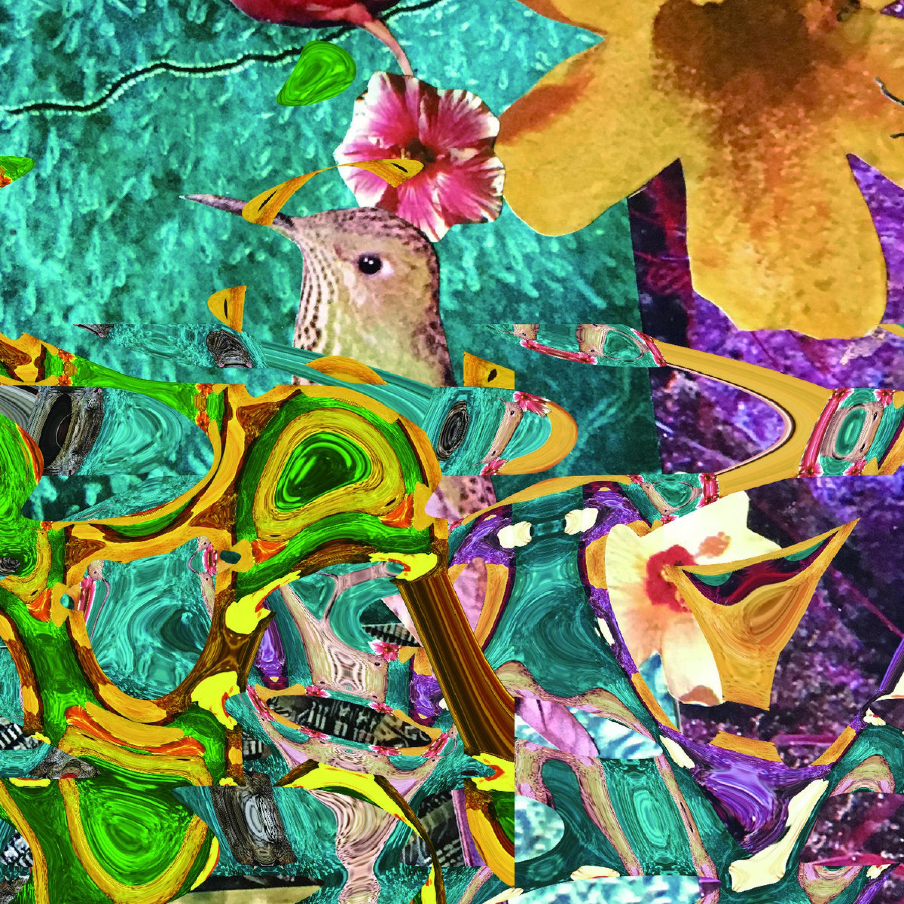 Janus Guitar album cover