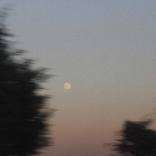 yesterday's moon - Single album cover