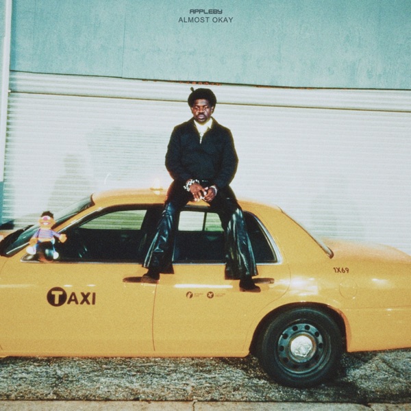 Almost Okay album cover