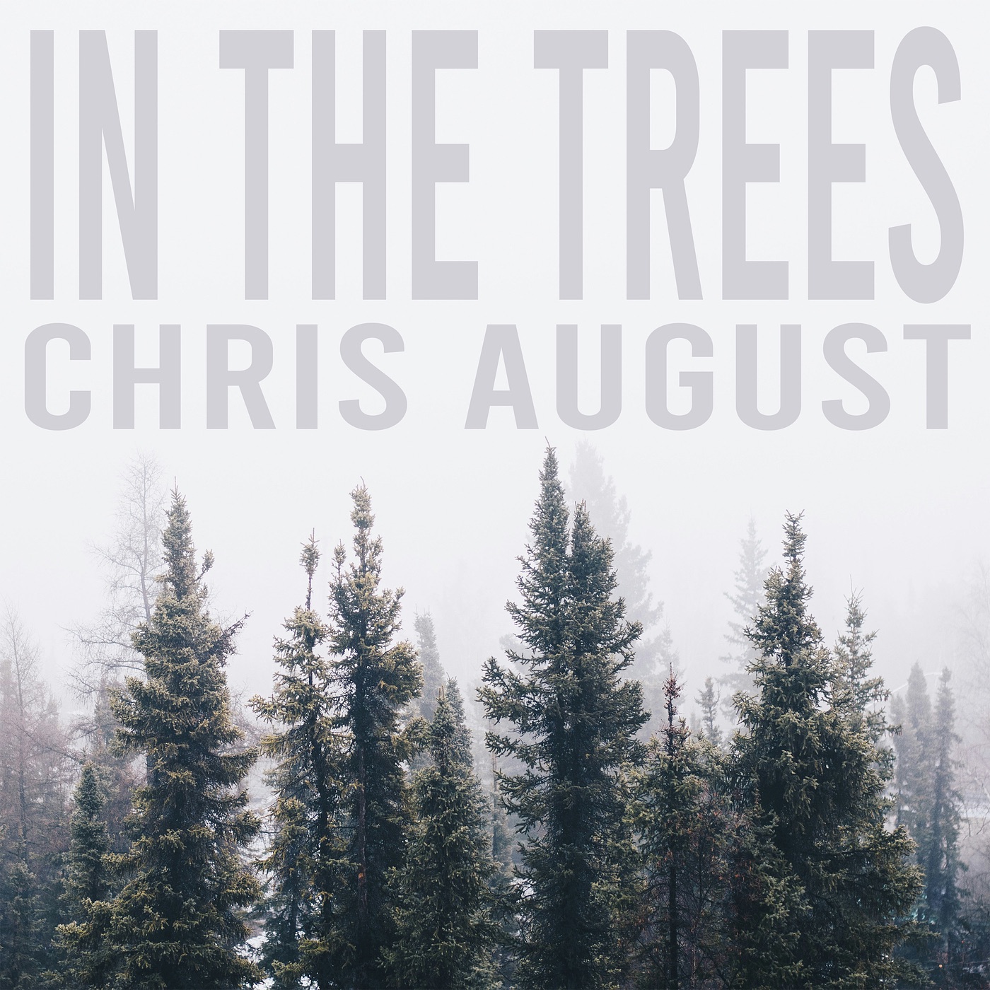 In the Trees - Single album cover
