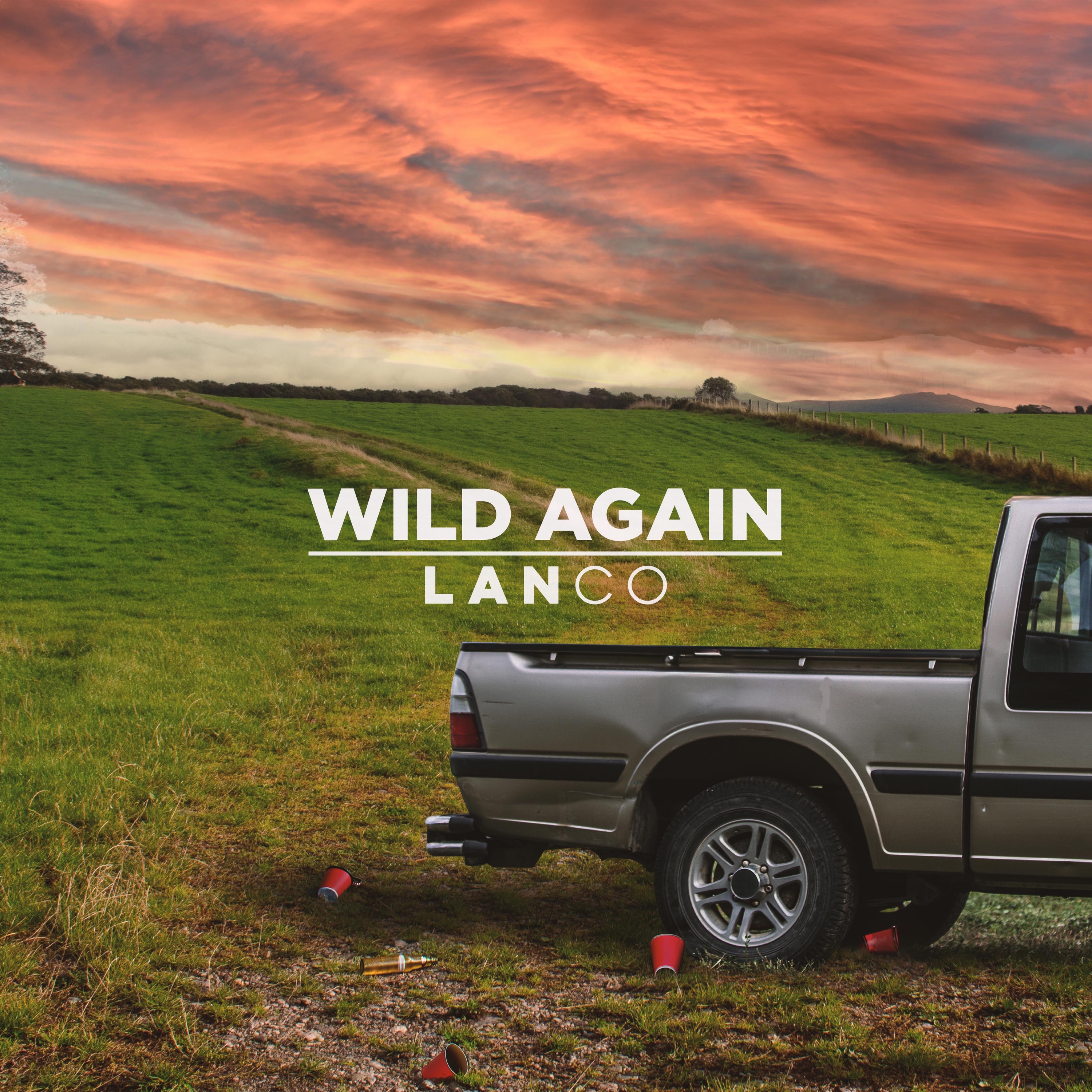 Wild Again - Single album cover