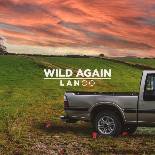 Wild Again - Single album cover