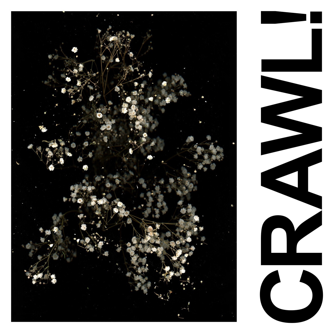 Crawl! (DGG Edit) - Single album cover