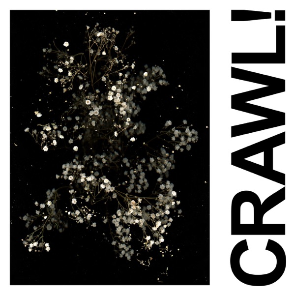 Crawl! (DGG Edit) - Single album cover